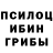 Галлюциногенные грибы Magic Shrooms Hirobrn gh