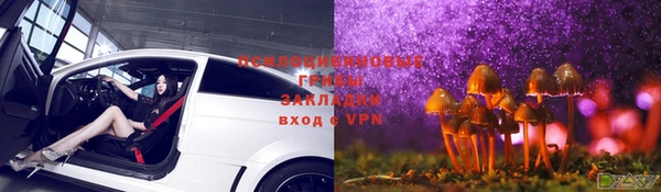 spice Липки