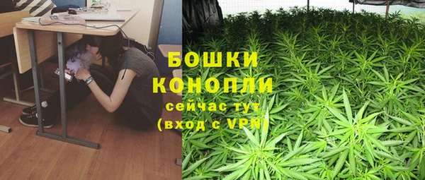 spice Липки