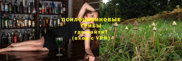 первитин Лиски