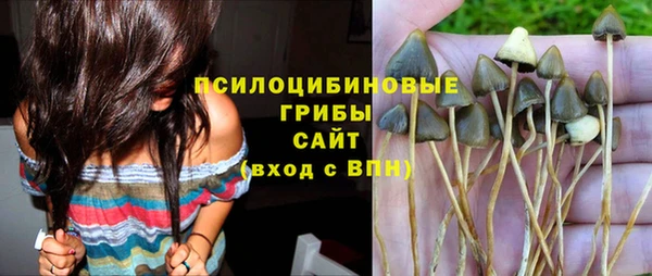 первитин Лиски
