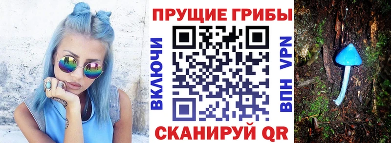 Псилоцибиновые грибы Psilocybe  даркнет формула  Евпатория  как найти наркотики 