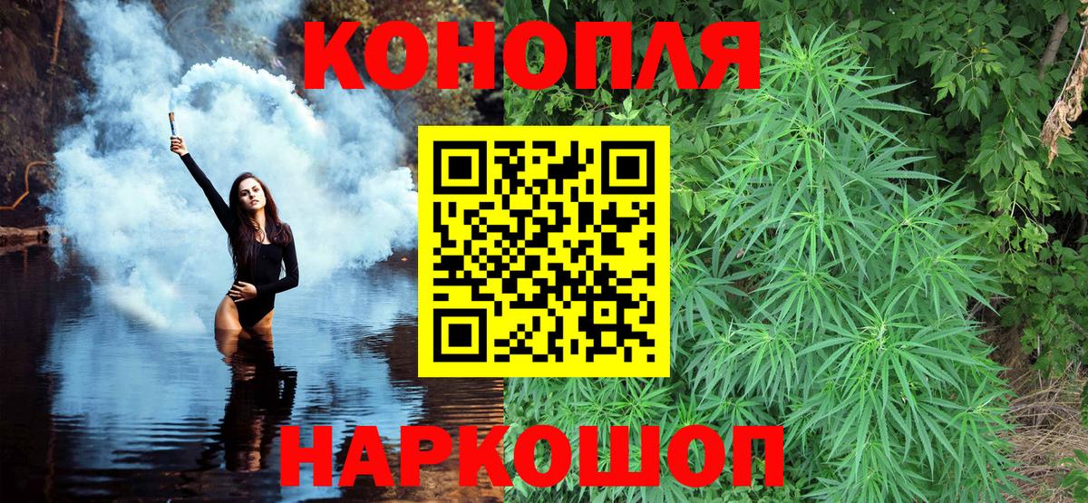 Бошки Шишки гибрид Евпатория
